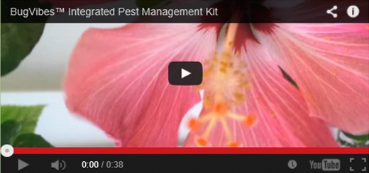 Integrated Pest Management Kit